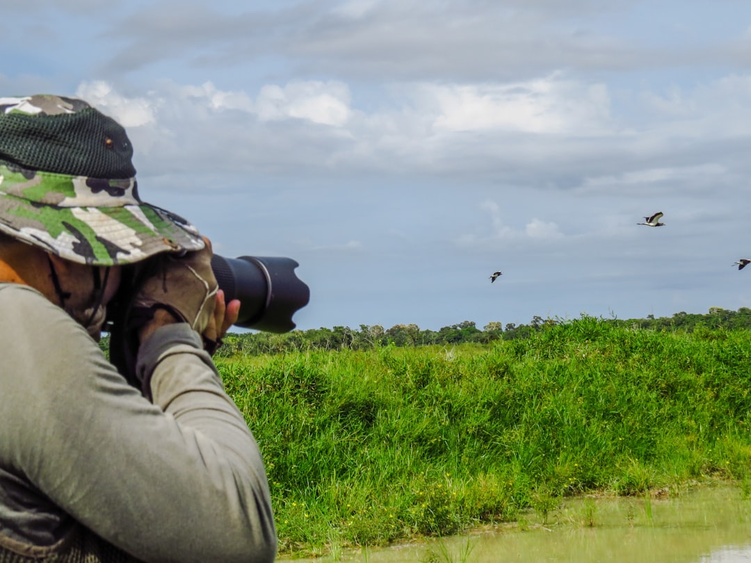 Beginner's Guide to Birdwatching